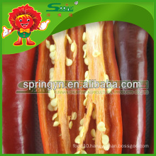 Factory Supply Vegetables Frozen Red Chilli